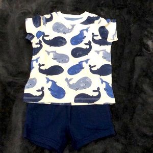 3/$15 Whale summer outfit